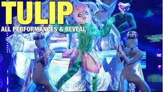 Tulip All Clues Performances amp Reveal Masked Dancer [upl. by Hanad282]