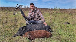 CAZA DE CHANCHOS CON BALLESTA 🐖🐷 Los encontramos [upl. by Jenilee]