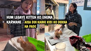 Kitten dealing with constipation gets an enema and Has a Huge poop  so painful 😖 [upl. by Krueger]