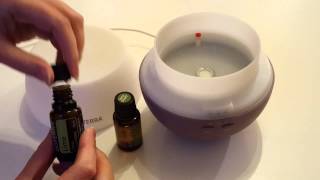 How to use a diffuser for your Essential Oils [upl. by Telford]