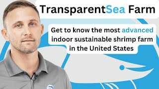 A look inside TransparentSea The most advanced indoor sustainable shrimp farm in the United States [upl. by Aikem270]