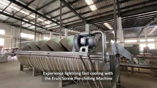 Cooling Revolution Transforming Poultry Processing with Eruis Screw Prechilling Machine [upl. by Adi]