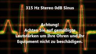 315 Hz Sinus Ton Test 0dB Stereo Piepton Wave Ton [upl. by Eibrab610]