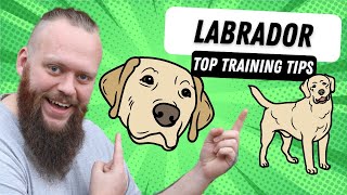 3 Top Tips for Training Your Labrador [upl. by Manya]