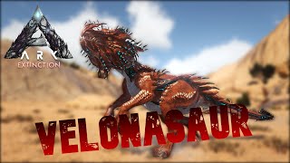 Taming A Velonasaur  Ark Survival Evolved  Extinction [upl. by Huston77]