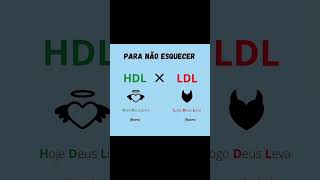 Diferença entre colesterol HDL X LDL [upl. by Patin320]