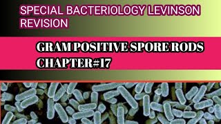 Revision of Levinson chapter17  gram positive spore forming rods [upl. by Talia]