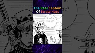 The Real Captain Of Straw Hats ft Nami Law Usopp  One Piece sliceoflife manhwa funny [upl. by Rafi]