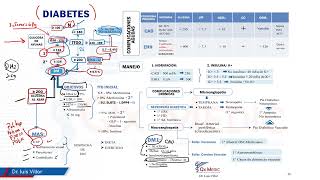 Mapas mentales  Diabetes [upl. by Ano]