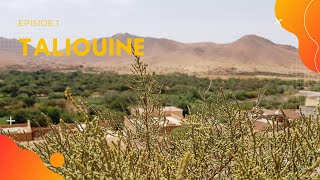 MOROCCO  TALIOUINE Part 1 [upl. by Arahsit]