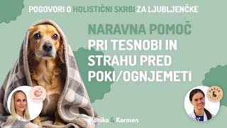 NARAVNA POMOČ PRI TESNOBI IN STRAHU PRI PSU PRED POKANJEM in OGNJEMETI [upl. by Hollister24]