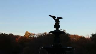 Bethesda fountain at sundownNYC election day peak foliage115244K60P [upl. by Hasila956]