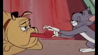 Tom And Jerry  Much Ado About Mousing 1964  TampJ Movie Cartoon For Kids [upl. by Aelsel]