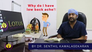 How to relieve your back pain  Chennai Ortho Clinic  Dr Senthil Kamalasekaran [upl. by Garlan]