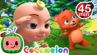 Animal Dance Song  More  CoComelon Animal Time  Learning with Animals  Nursery Rhymes for Kids [upl. by Platto974]