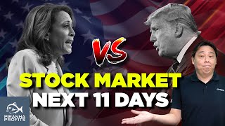 Stock Market Next 11 Days [upl. by Patsy]