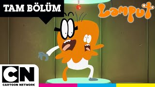 LAMPUT  Kaçırılma  TAM BÖLÜM  cartoonnetworkturkiye [upl. by Sandye]