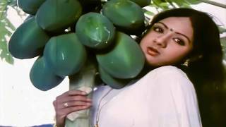 Sirimalle Puvva Video Song  Padaharella Vayasu Movie  Sridevi  Volga Music Box [upl. by Nahs799]