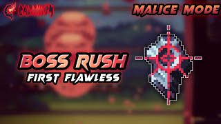 Boss Rush First Flawless  Malice mode NO HIT  Calamity 1516 [upl. by Carmel354]