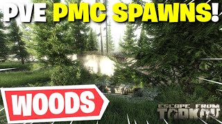 Escape From Tarkov PVE  All PMC Spawn Locations On Woods [upl. by Gylys]