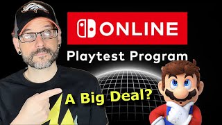 Is the Nintendo Playtest really a BIG deal Im not so sure [upl. by Gertrud613]