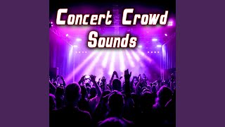 Rock Concert Ambience with Shouts amp Applauding [upl. by Brass]