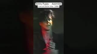 80s Skinny Puppy  Assimilate live at Dolce Vita 1986 goth specialeffects [upl. by Tessler]