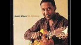 Muddy Waters  The Same Thing [upl. by Centonze]