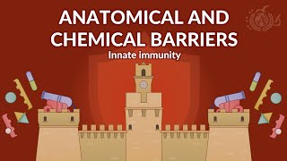 IMMUNOLOGY  Anatomical barriers and first chemical defenses [upl. by Asertal175]