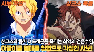 원피스 최신 분석 드디어 이글이글 열매를 각성하는 푸른염제 사보 그리고 샹크스와 몽키 D 드래곤을 죽이는 사황 검은수염 [upl. by Aikyn]