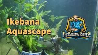 How to Ikebana Aquascape [upl. by Mallina]