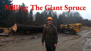 Milling The Giant Spruce [upl. by Yelrebmik]