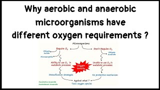 Why aerobic and anaerobic type of microorganisms have different oxygen requirements [upl. by Celie206]