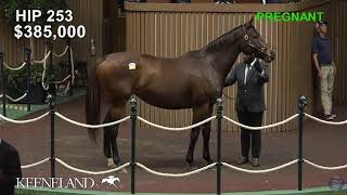 Keeneland Live Feed [upl. by Erminie]