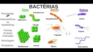 Aula 03 Microbiologia  Bactérias [upl. by Aubry]