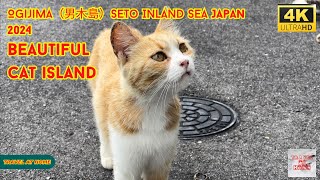 4k hdr japan travel 2024  Walk in Ogijima（男木島）Seto Inland Sea japan  Beautiful cat island [upl. by Harmon18]