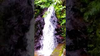 Cascada Sañe sañe Loja PerroZorro Ecuador [upl. by Onitnatsnoc]