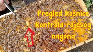 Pregled košnice kontrola rojevog nagona [upl. by Radmen952]