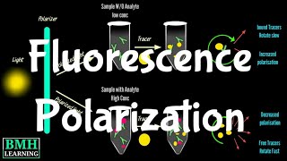 Fluorescence Polarization  Fluorescence Polarization Tag Assays [upl. by Kele]