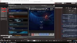 HANDS ON  Sonuscore  Native Instruments Mallet Flux [upl. by Attelrak]