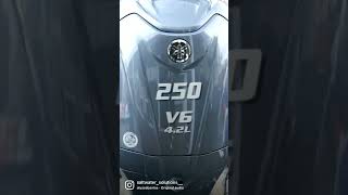 Yamaha Outboard Repower 250 hp [upl. by Gladwin]