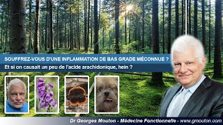 SOUFFREZ VOUS DUNE INFLAMMATION DE BAS GRADE MÉCONNUE [upl. by Alael]