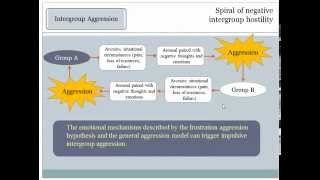 Group Dynamics 14a Intergroup Conflicts Causes [upl. by Akinwahs]