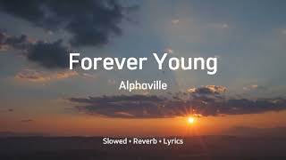 Alphaville  Forever Young Slowed  Reverb  Lyrics [upl. by Ludie995]