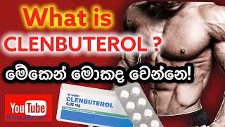 ARE YOU TAKING CLENBUTEROL FRO FAT LOSS ඔබ CLENBUTEROL ගන්නවාද SINHALA LANGUAGE සිංහල භාෂාව [upl. by Ula]