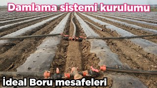 Damlama sulama sistemi kurulumu ideal Boru mesafeleri ne olmalı [upl. by Attenyt165]