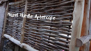 How To Preserve amp Treat Your Hazel Hurdle Wattle Fence Panel or Willow Garden Screen [upl. by Leffert818]