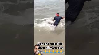 Nadi mein kaise machhi maarte Hain itna barish mein short video YouTube trending fish 🙏🙏🙏🌼😂 [upl. by Wald928]