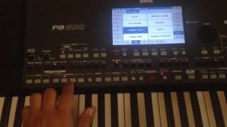 Arabic style korg pa600 [upl. by Trill]