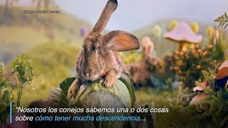 El video del gobierno polaco para “reproducirse como conejos” [upl. by Maureen]